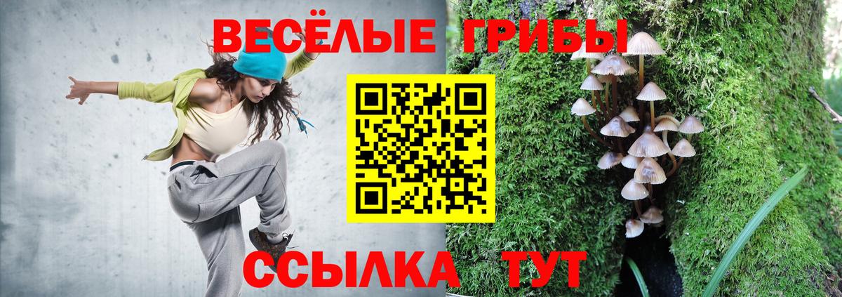 Псилоцибиновые грибы MAGIC MUSHROOMS  купить наркотики сайты  Орёл  Вход с VPN 