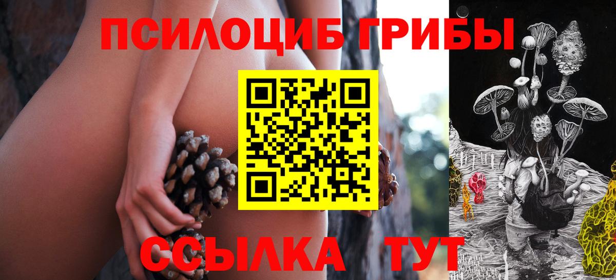 Псилоцибиновые грибы Psilocybine cubensis Орёл